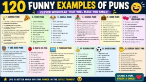 120 funny examples of puns infographic featuring clever wordplay categories, colorful illustrations, and family-friendly jokes.
